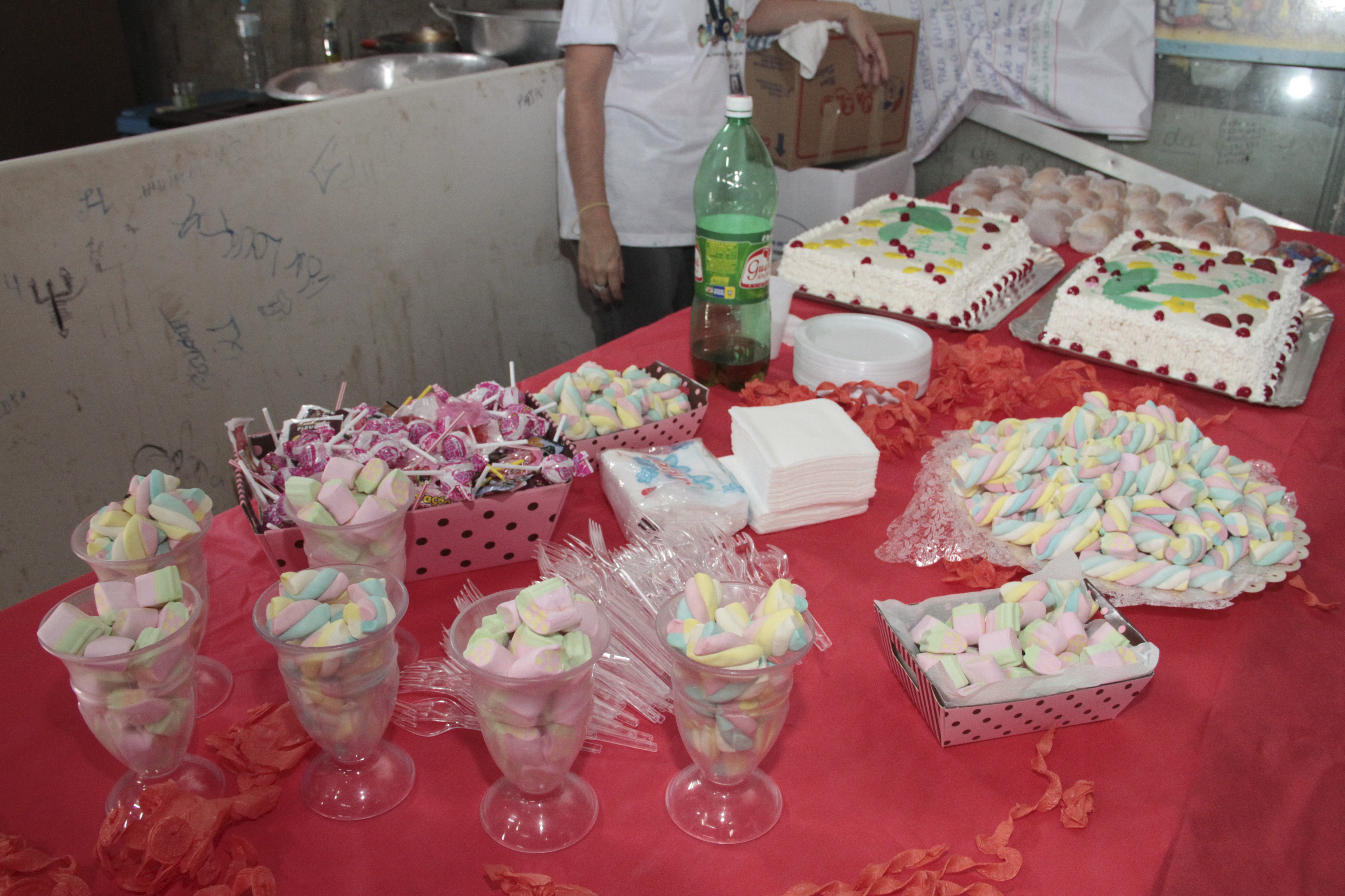 Natal da Cidadania 2011