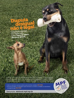 Eleições 2014  - cão