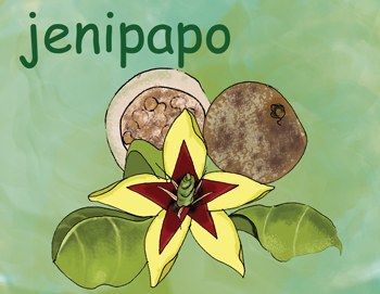 jenipapo.jpg