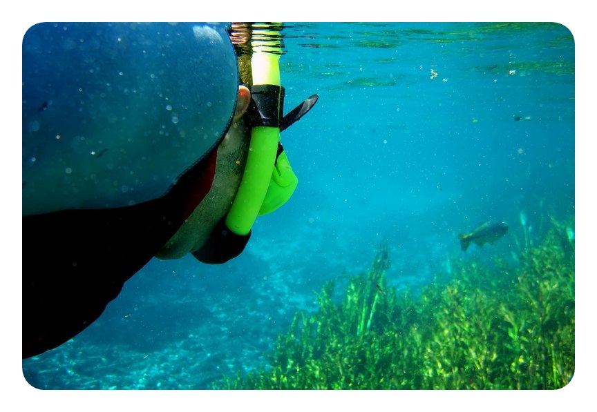 Bonito. Foto: Aline Rosa