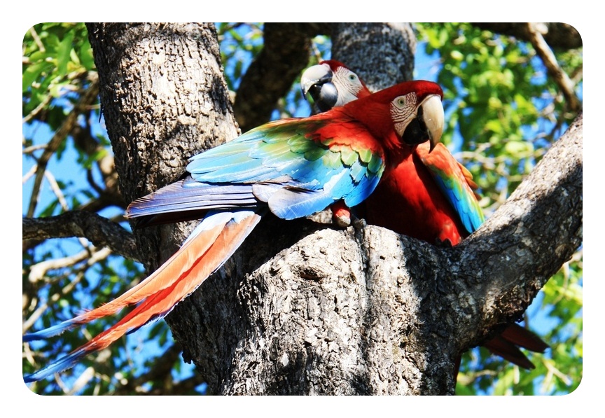 Bonito. Foto: Nathaly Feitosa