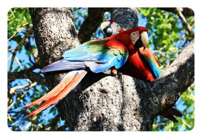 Bonito. Foto: Nathaly Feitosa