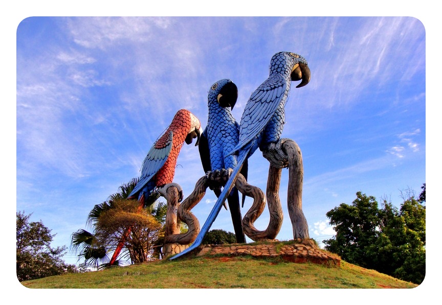 Campo Grande. Foto: Aline Rosa