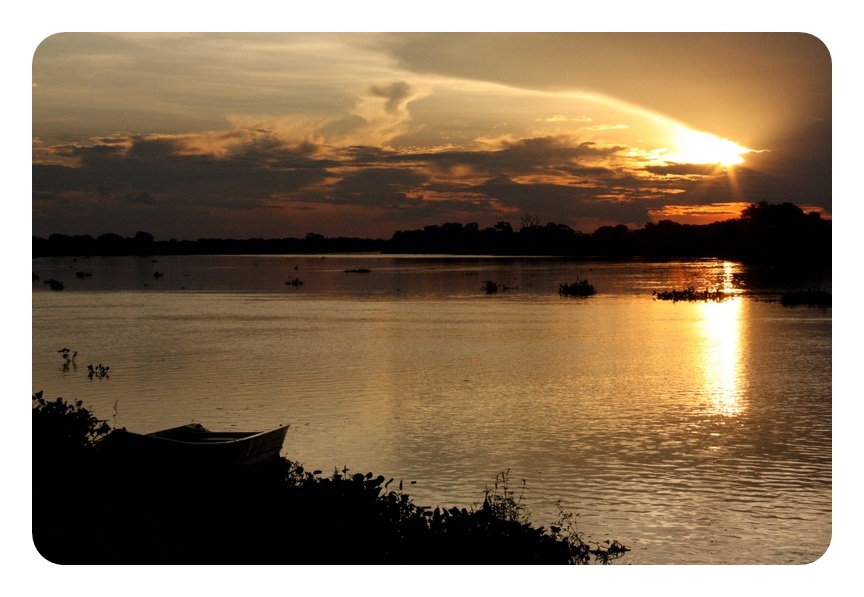 Pantanal. Foto: Nathaly Feitosa