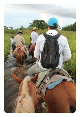 Pantanal. Foto: Nathaly Feitosa