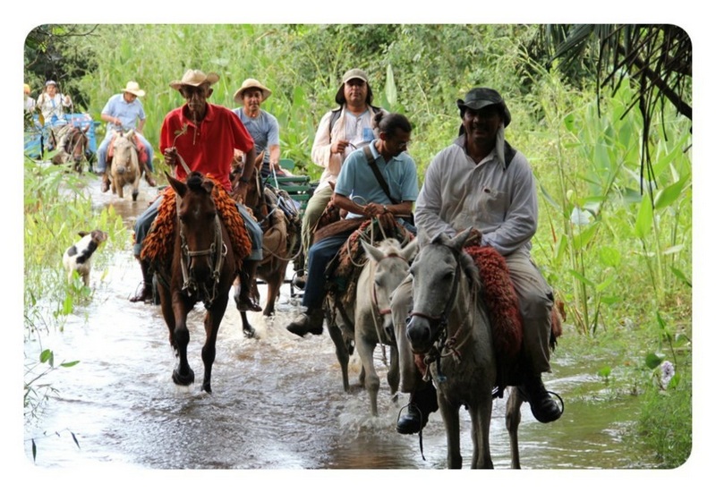 Pantanal. Foto: Nathaly Feitosa