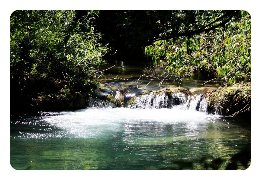 Parque Nacional da Serra da Bodoquena. Foto: Nathaly Feitosa