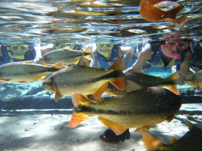 Flutuação no rio. Foto: Secom/MT