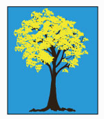 Ilustração de um ipê amarelo