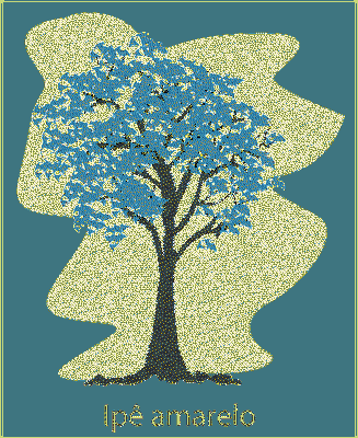 texto ilustração Goiás