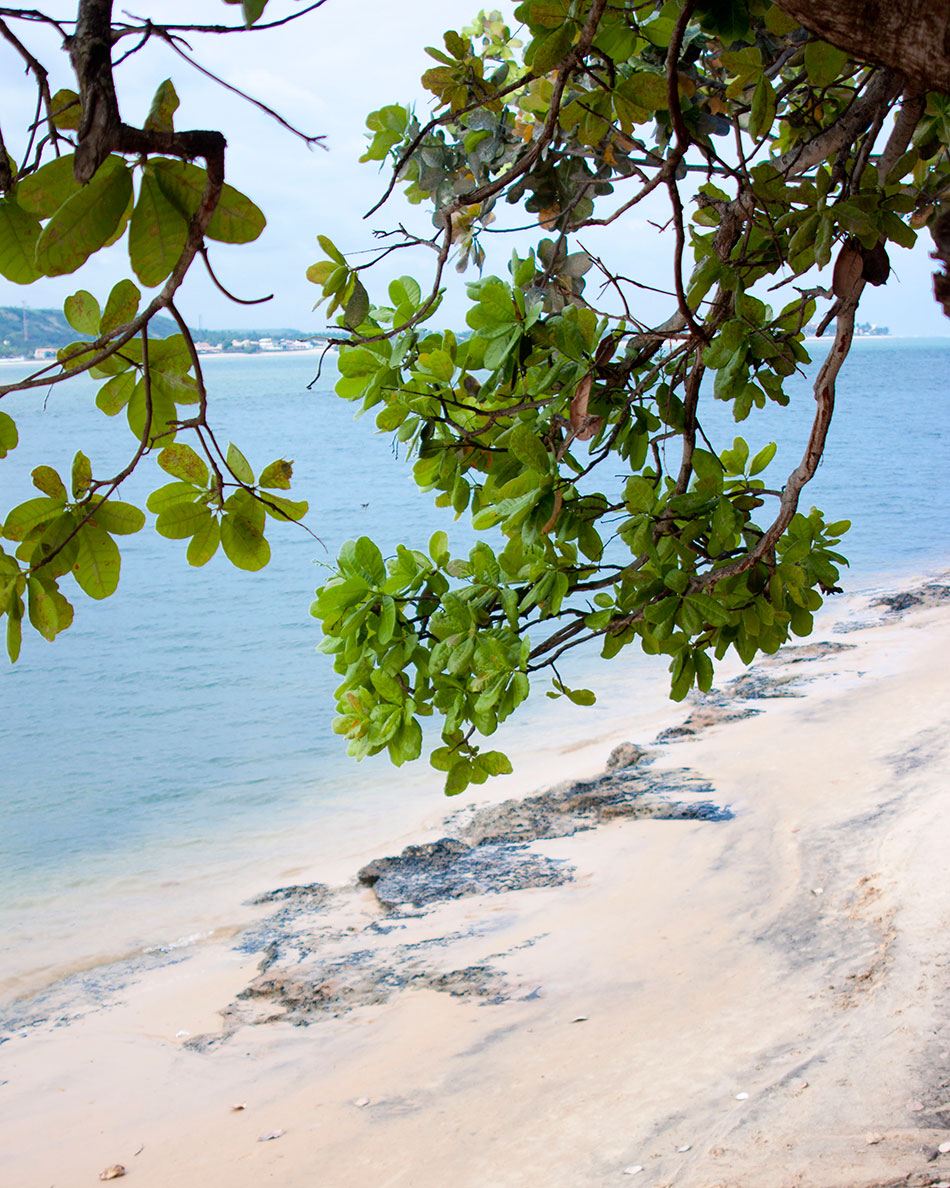 Praia do Gunga. Foto: Francisco Barros