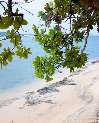 Praia do Gunga. Foto: Francisco Barros