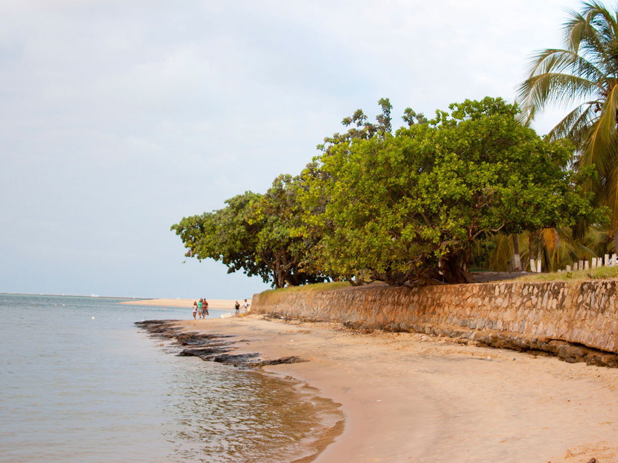 Praia do Gunga (2). Foto: Francisco Barros