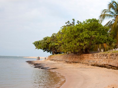 Praia do Gunga (2). Foto: Francisco Barros