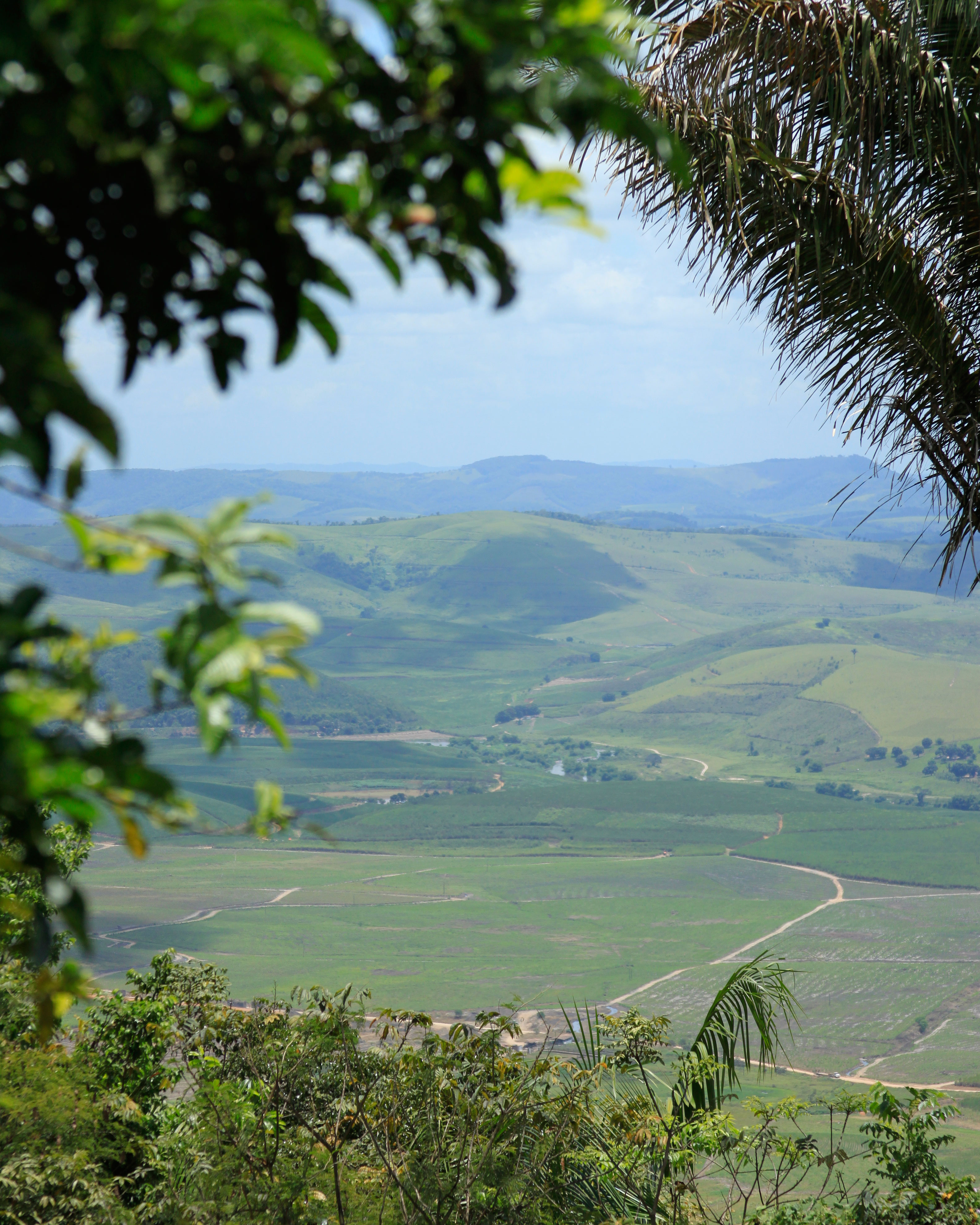 Vista do Quilombo dos Palmares. Foto: Francisco Barros