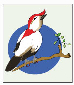 ícone soldadinho araripe Ceará