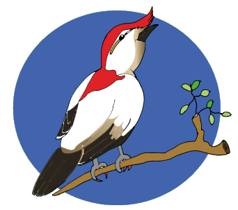 texto soldadinho araripe Ceará