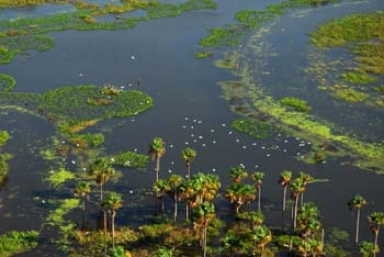 Belezas naturais de Roraima. Foto Jorge Macedo, Detur