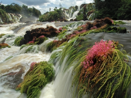Parque Nacional das Montanhas do Tumucumaque (Cachoeira do Desespero). Foto Zig Koch