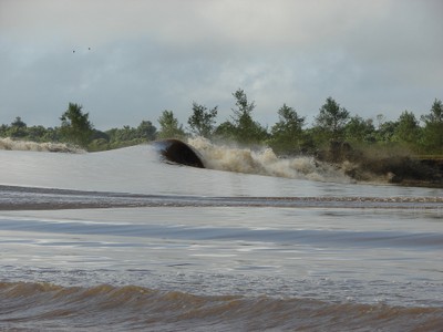 Pororoca. Foto: Eduardo Wagner