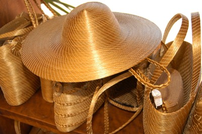 Capim dourado. Foto: Kleiber Arantes