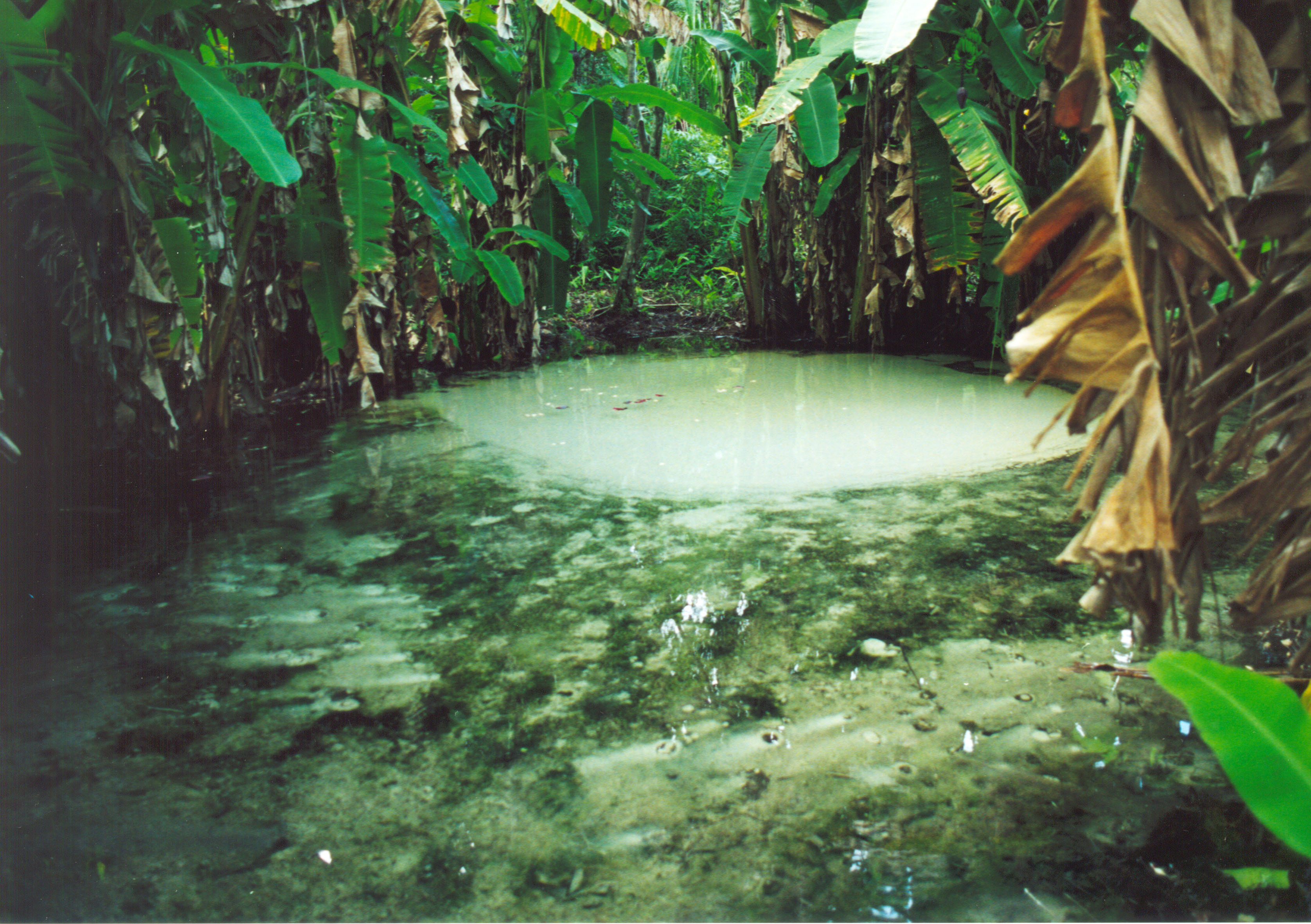 Fervedouro, no Jalapão. Foto: Fred Borges