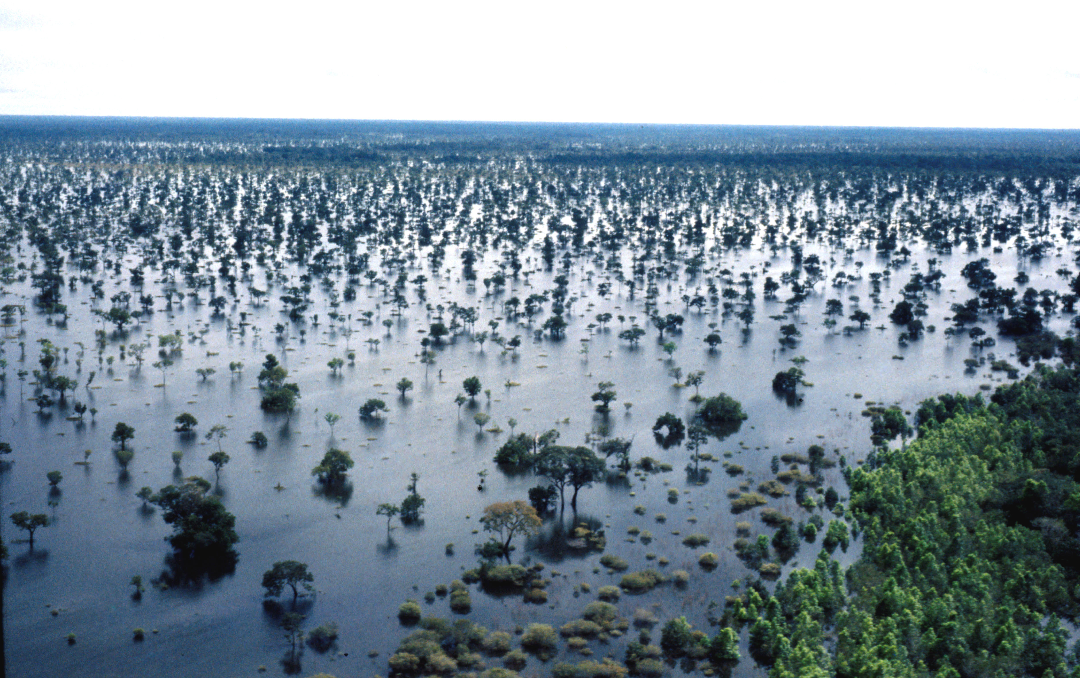 Índios javaés e karajás habitam a maior ilha fluvial do mundo, a Ilha do Bananal, formada pelos rios Javaé e Araguaia. Foto: Márcio Di Pietro