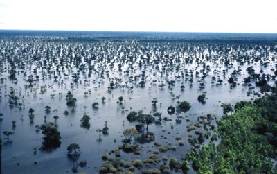 Índios javaés e karajás habitam a maior ilha fluvial do mundo, a Ilha do Bananal, formada pelos rios Javaé e Araguaia. Foto: Márcio Di Pietro
