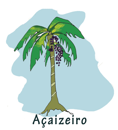 Ilustração texto Pará