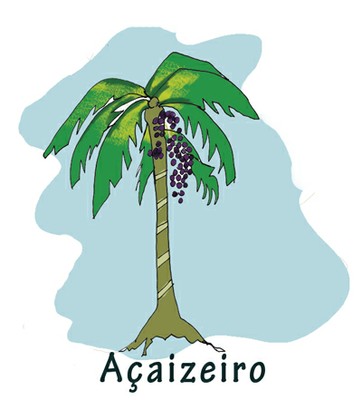 Ilustração texto Pará