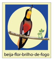 texto ilustração Amapá