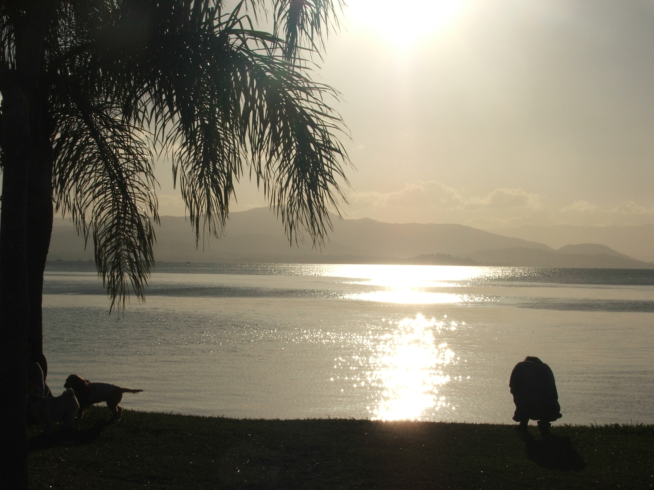 Beira-mar norte, em Florianópolis. Foto Andrea Mosqueta