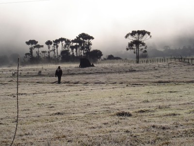 Frio na serra catarinense. Foto: Lucênio Zanoni