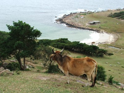 Praia da Pinheira. Inicio da trilha até a Guarda do Embaú. Fot Andrea Mosqueta