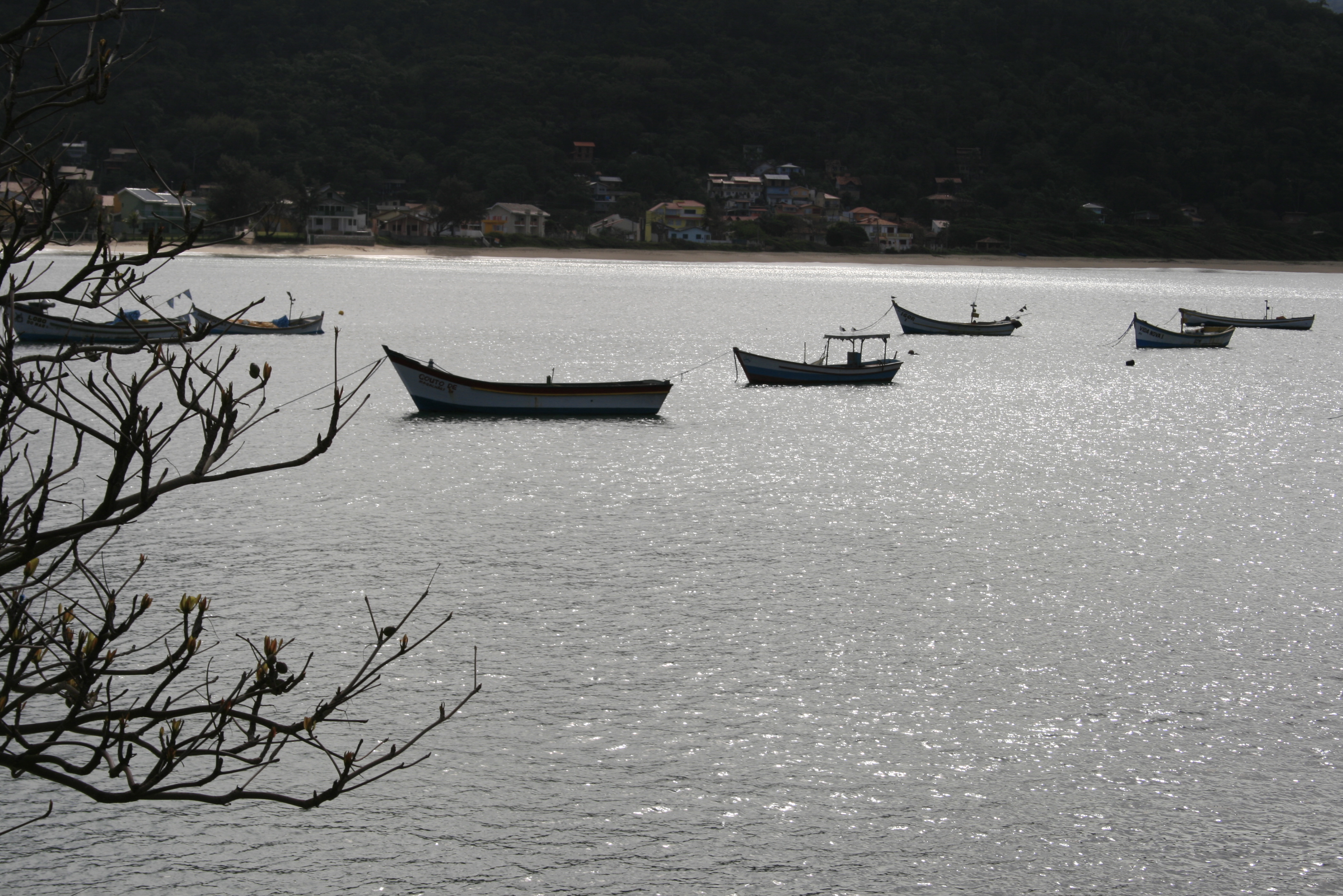 Praia da Armacão, em Florianópolis. Foto: Lucênio Zanoni