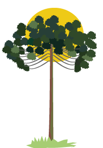 Ilustração texto pr2